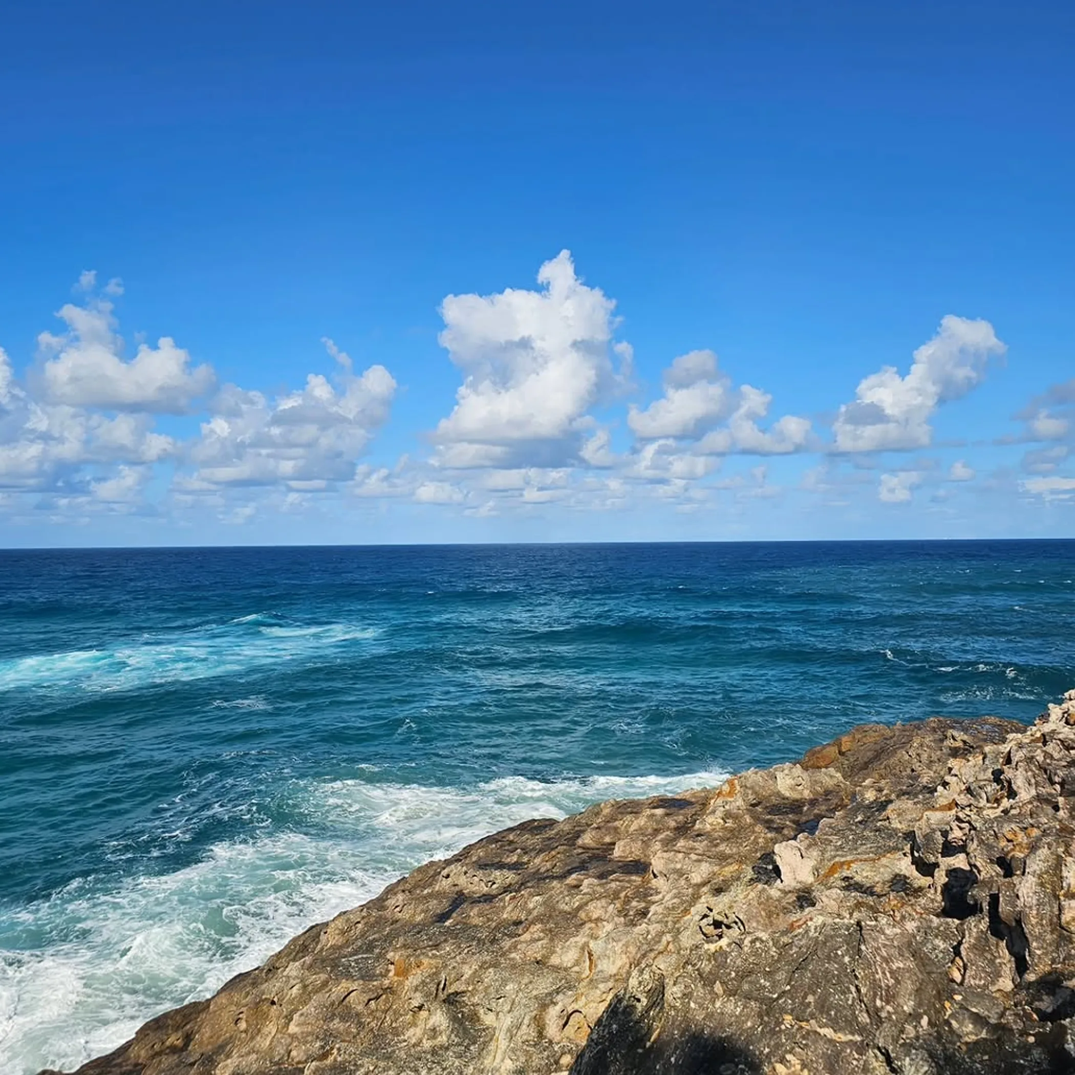 well-lit coastal photograph